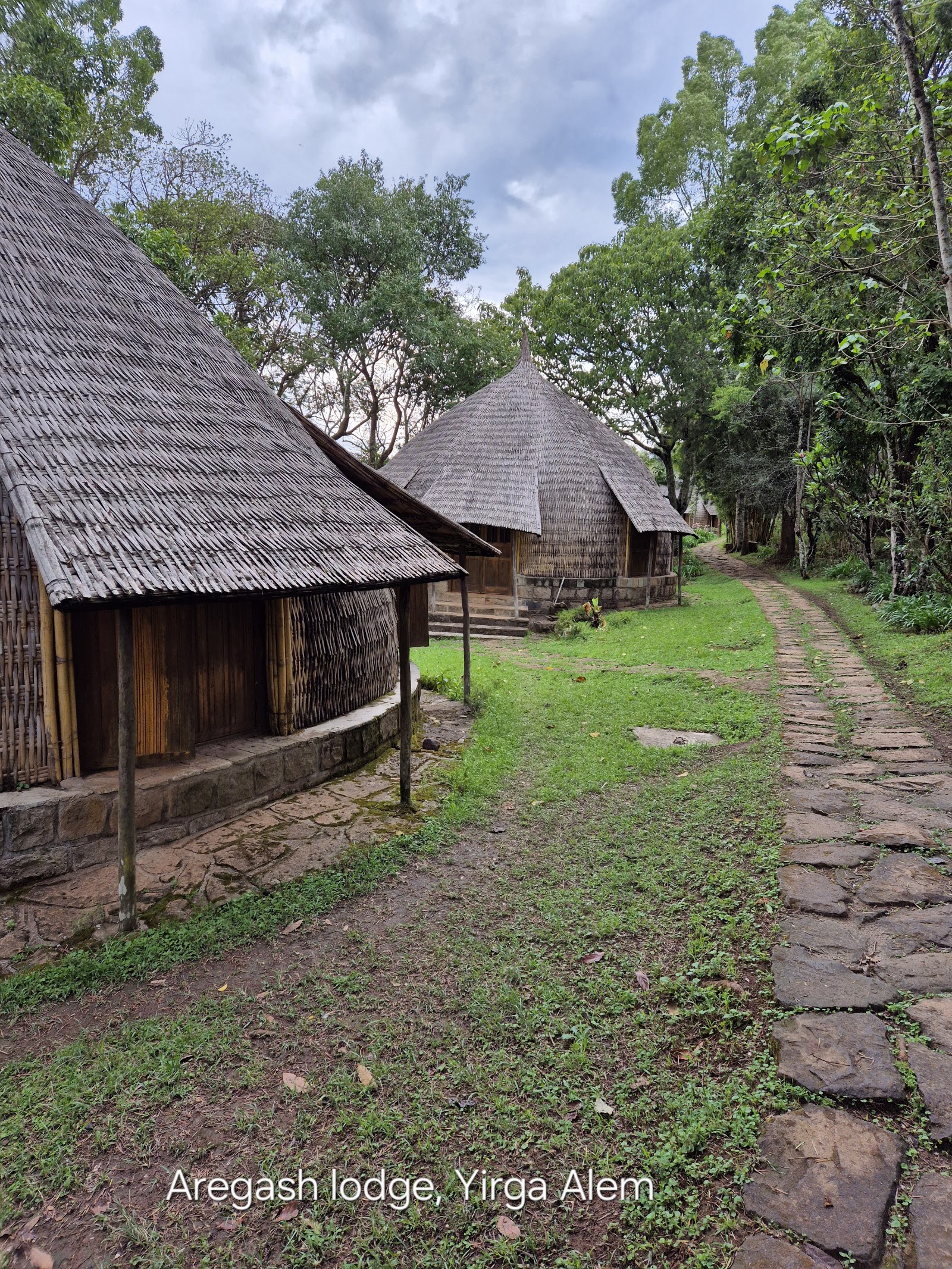 አረጋሽ ሎጅ / AREGASH LODGE