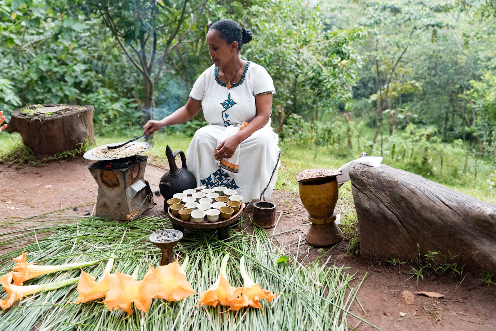 አረጋሽ ሎጅ / AREGASH LODGE