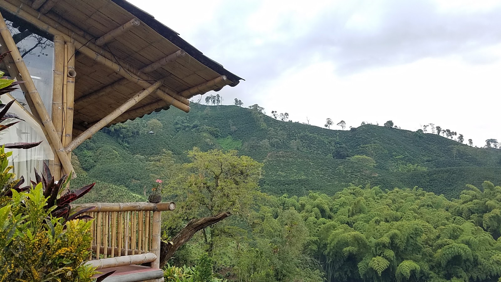 Hacienda Guayabal