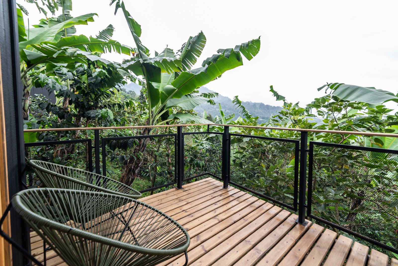 LA PALMA Y EL TUCAN HOTEL