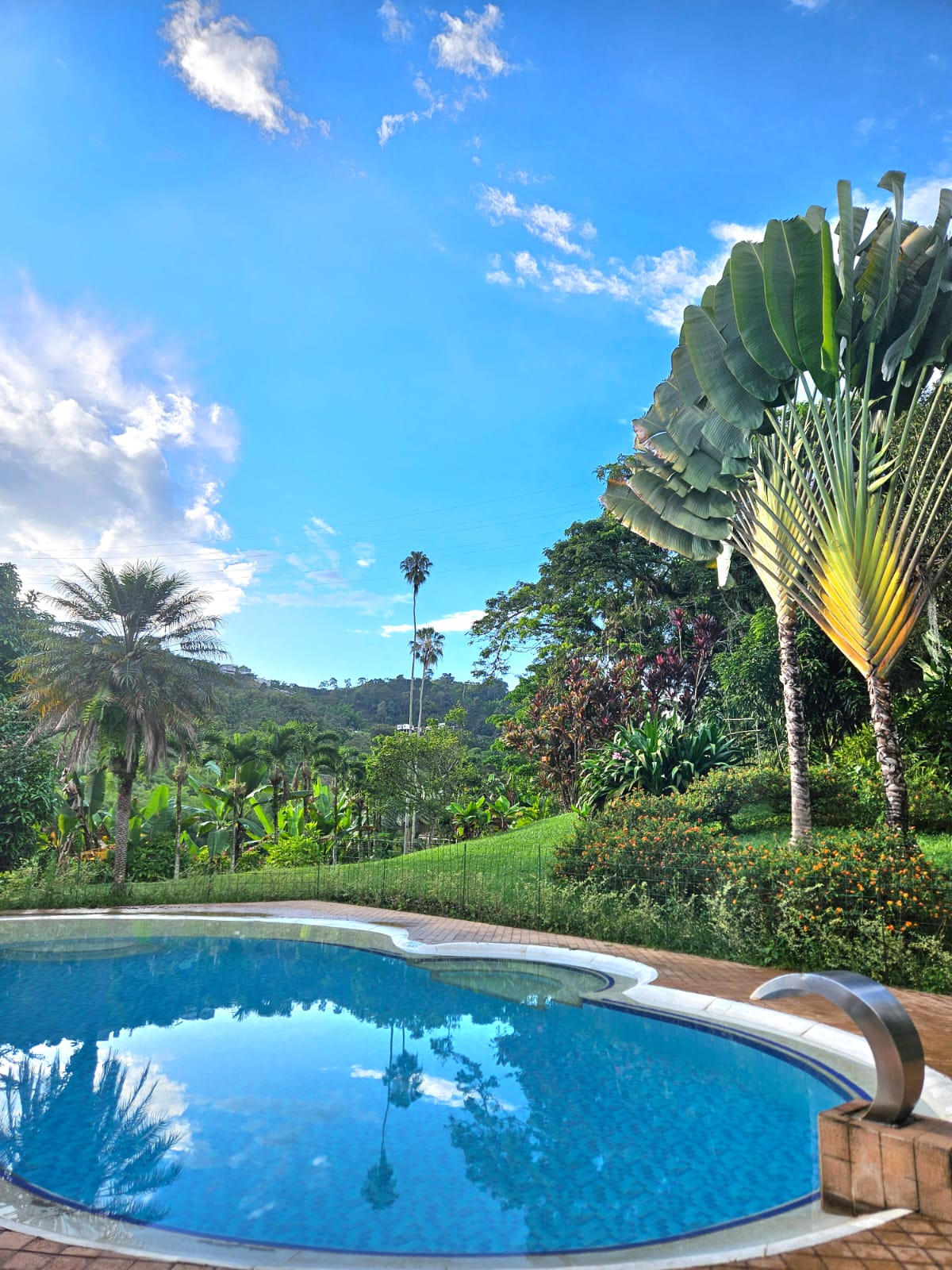Hacienda Venecia Coffee Farm Experience