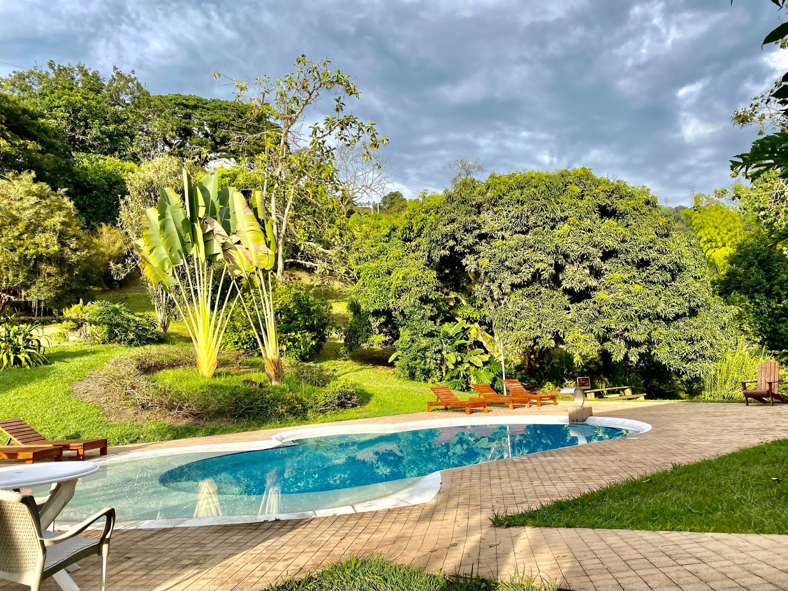 Hacienda Venecia Coffee Farm Experience