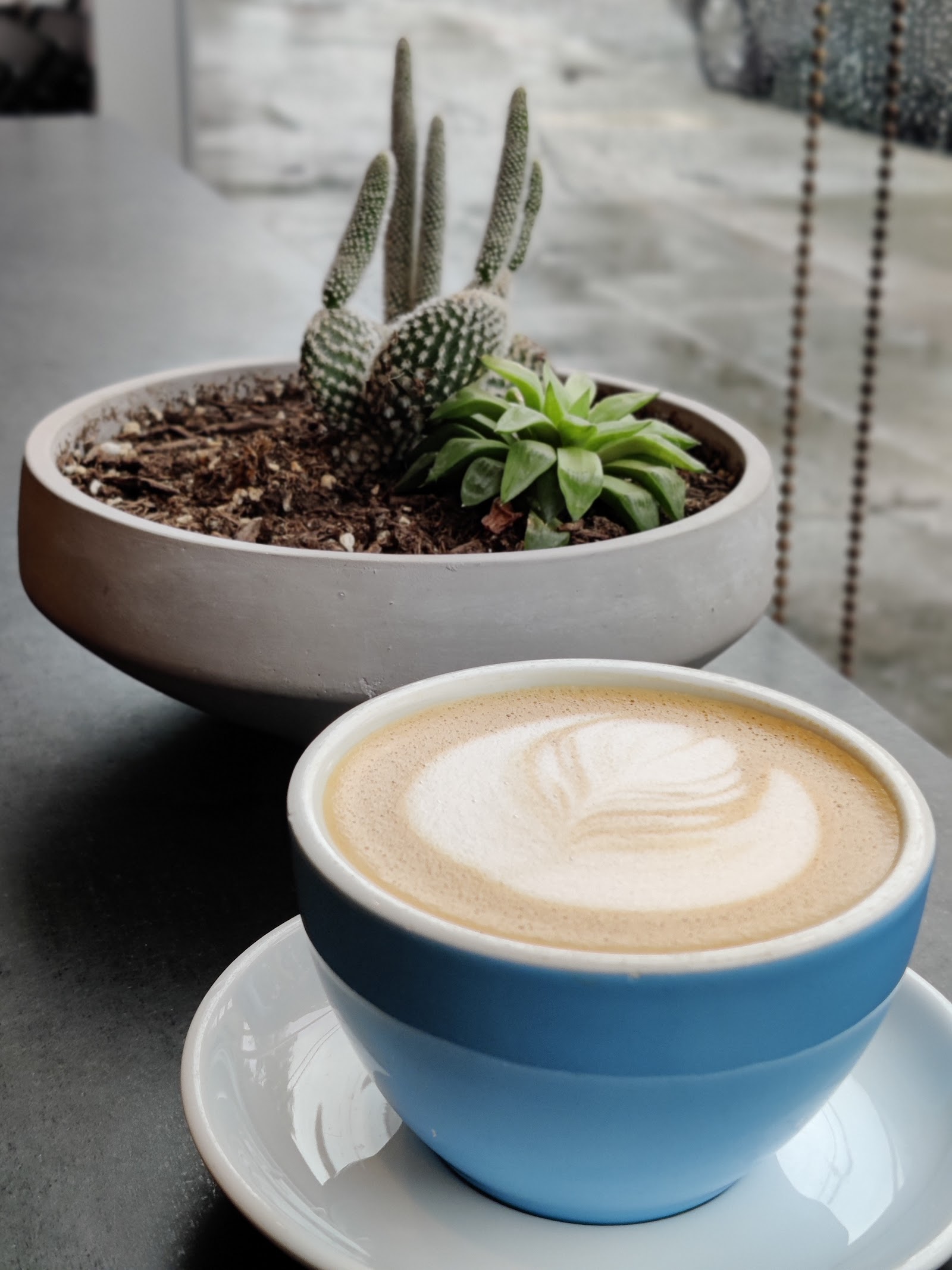 Cognoscenti Coffee - Photo 2