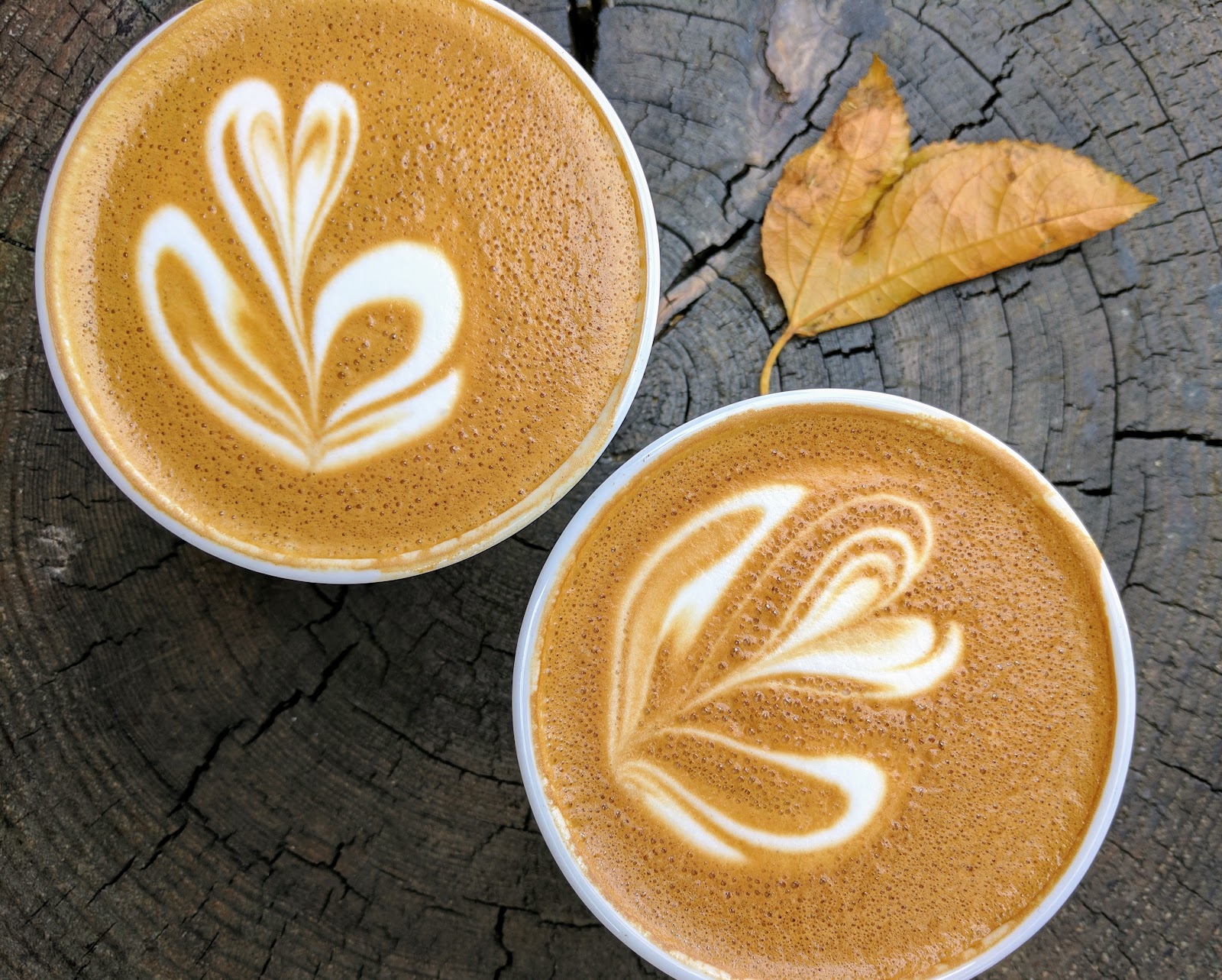 Blacktop Coffee - Photo 3
