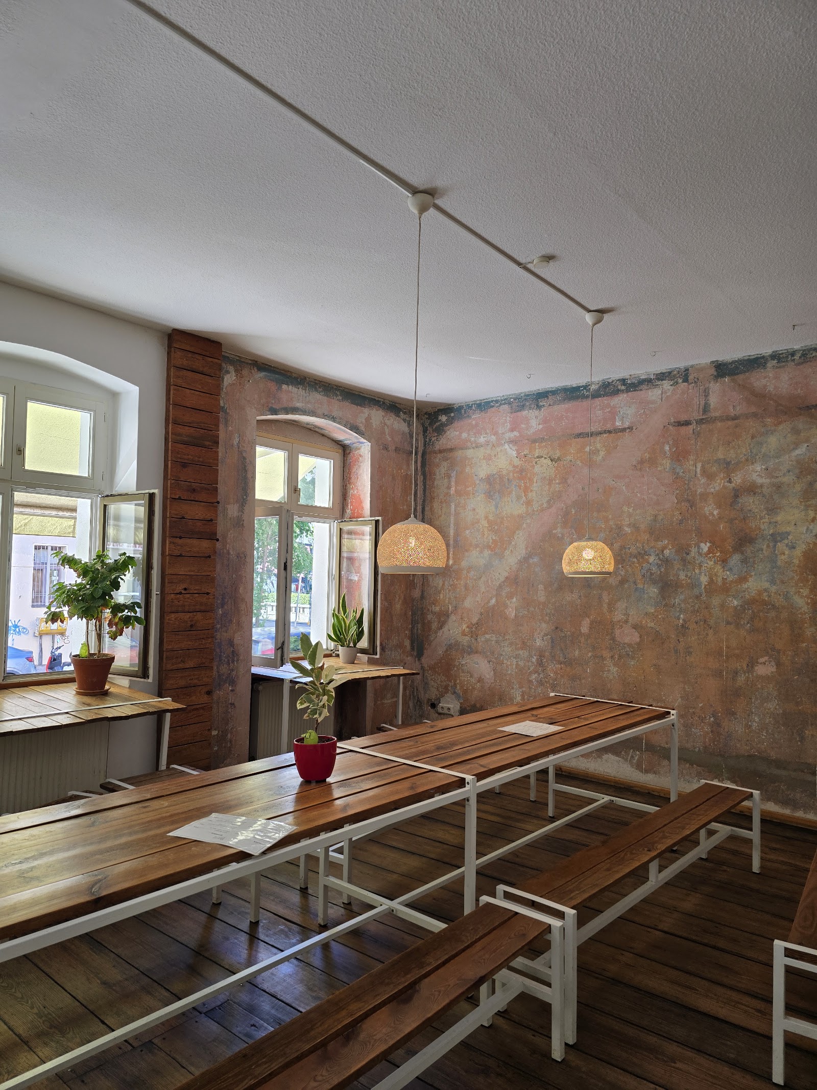 Kaffeekirsche - Photo 3
